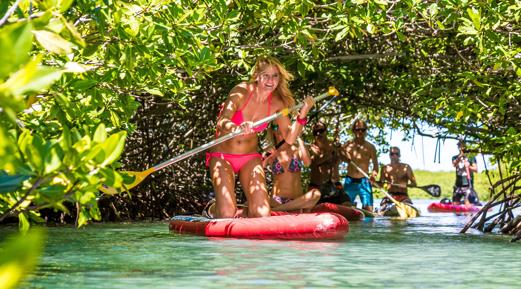 Paddleboarding through mangroves