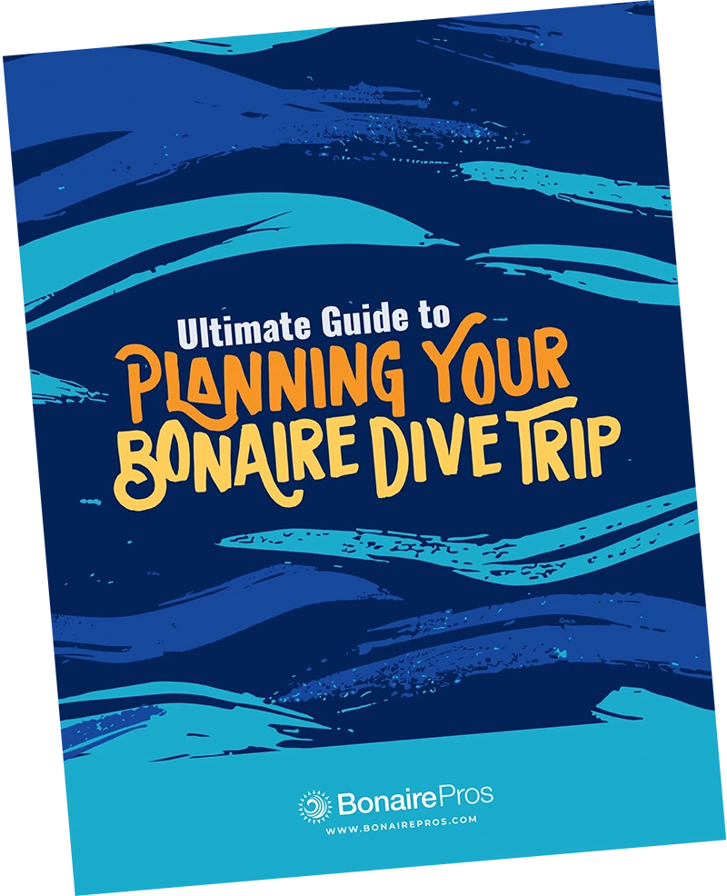 Diving Guide